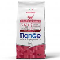   Monge Cat Monoprotein      -   
