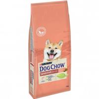  Dog Chow     ,    , Sensitive -   