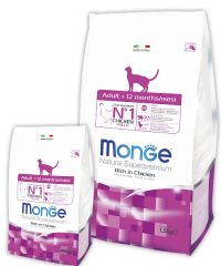  Monge   , Adult Cat -   