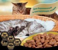 Корм Animonda для беременных и лактирующих кошек, Vom Feinsten Deluxe