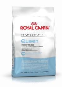 Сухой корм Royal Canin Queen, корм для беременных и кормящих кошек - купить в Тамбове