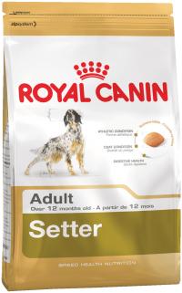 Сухой корм ROYAL CANIN Setter adult, для собак породы Сеттер старше 12 месяцев - купить в Тамбове